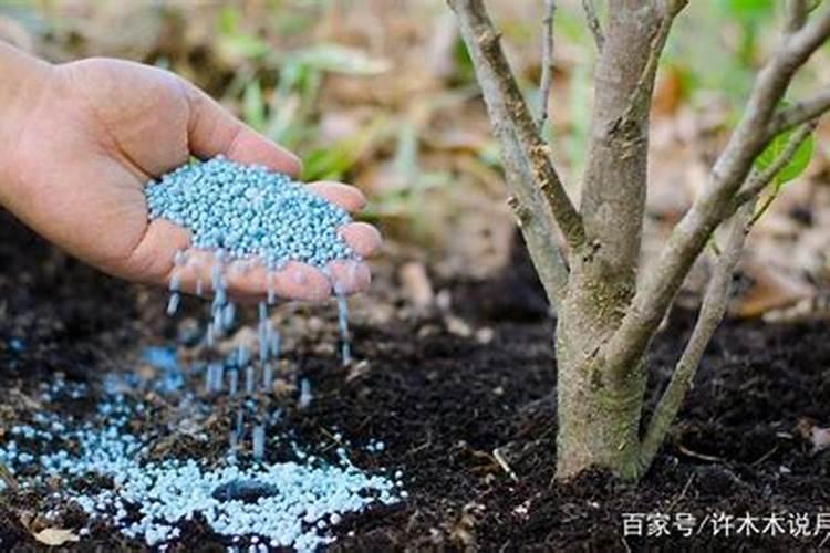 【硫基肥】西洋硫酸钾复合肥不烧根、不烧苗？