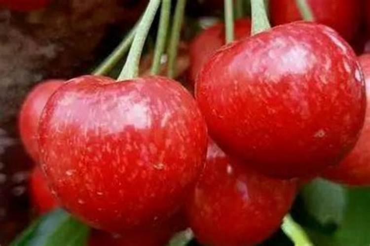 樱桃保花保果需要用什么肥料？樱桃结果期追肥用什么肥料好？