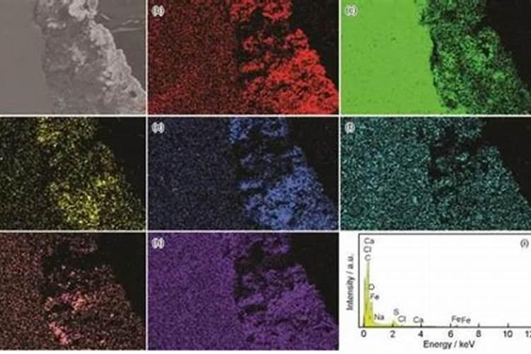 有含碳的叶面肥料吗