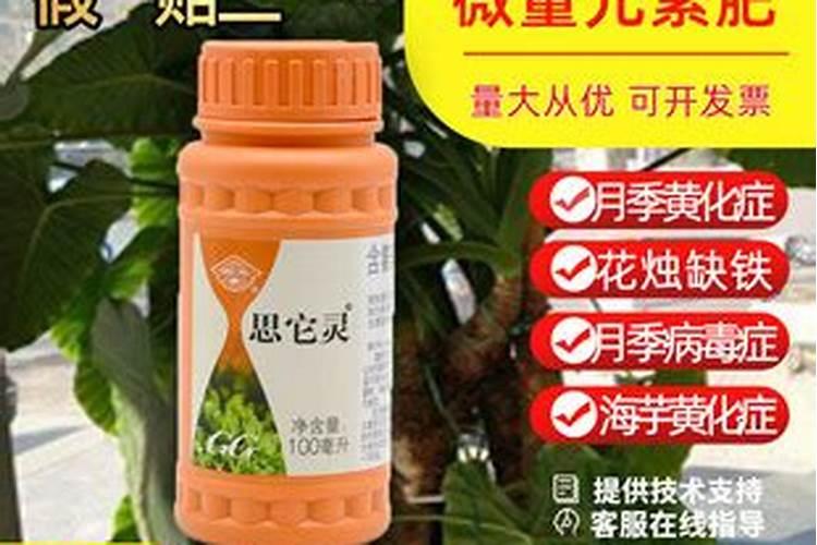 对于种植的叶菜而言,能不能把尿素当叶面肥用呢？