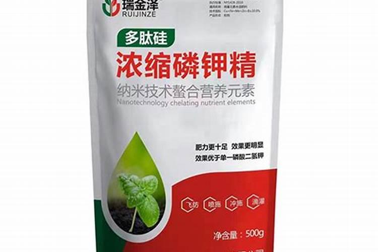 黄瓜用什么肥料