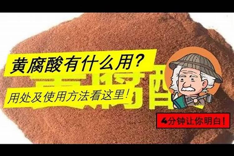 园林假植苗有什么好处