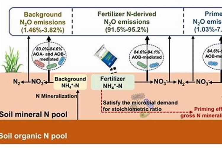 氮肥使用在土壤里能养微生物吗