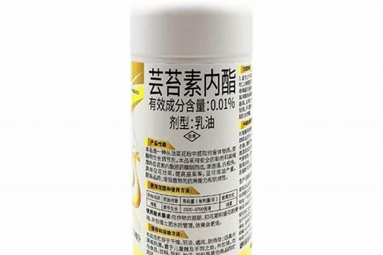 百合花可以水培养吗？