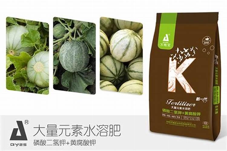 种瓜用什么肥料好？