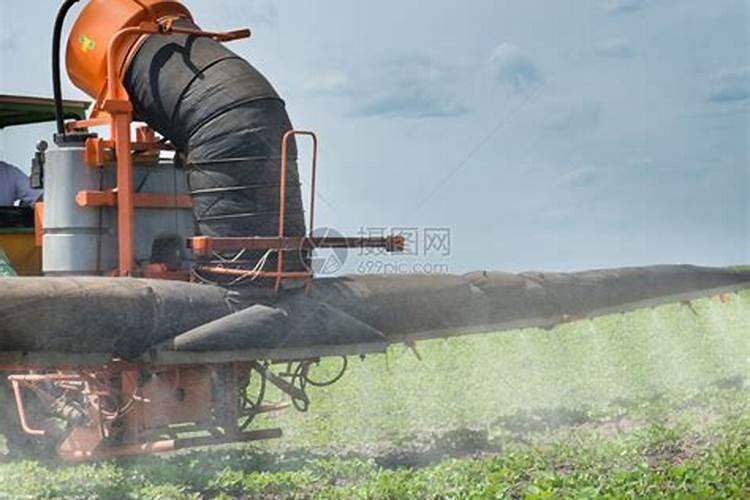 小麦用二铵好还是复合肥好