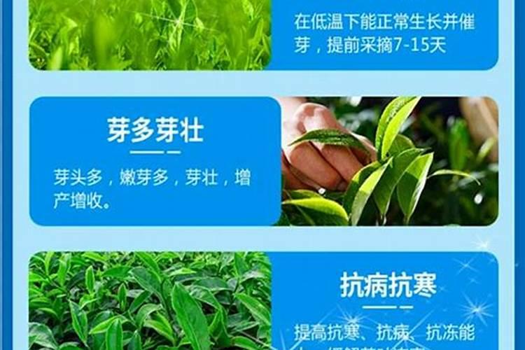 优芽素和矮胖素的区别