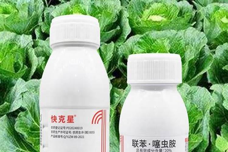 金边瑞香施什么肥最好