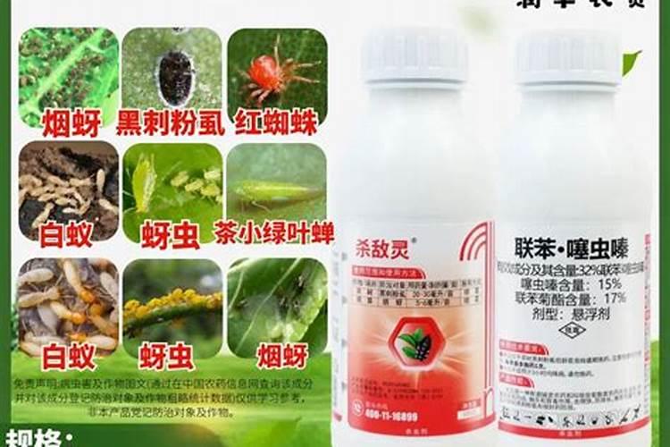 坏西红柿能上地肥吗？