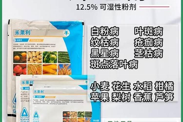 转销售经理申请书8篇