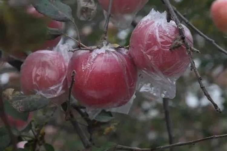 宜宾县有哪些乡镇？