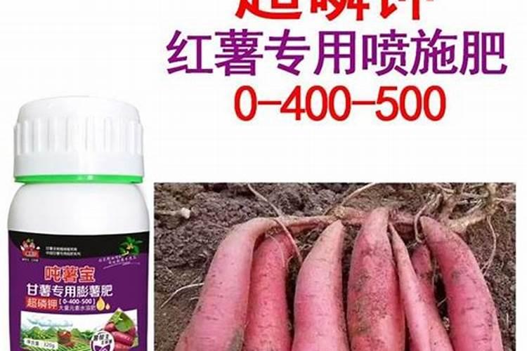 葡萄施肥时间表