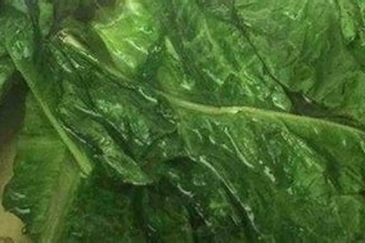 白蒜的叶面肥很重要,种白蒜如何施叶面肥？