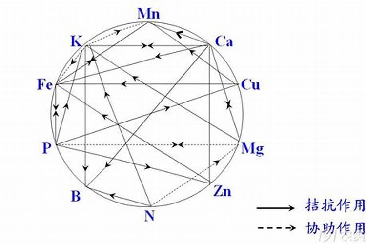 白芍打膨大素最怕三个药