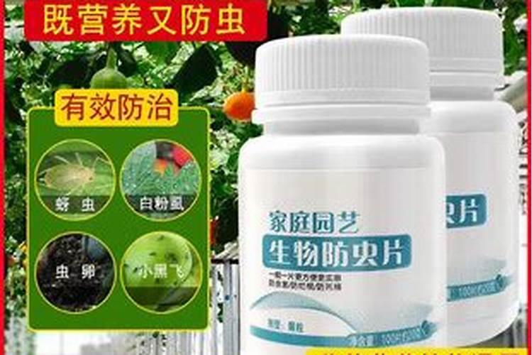 糖化硼肥片真能防虫吗