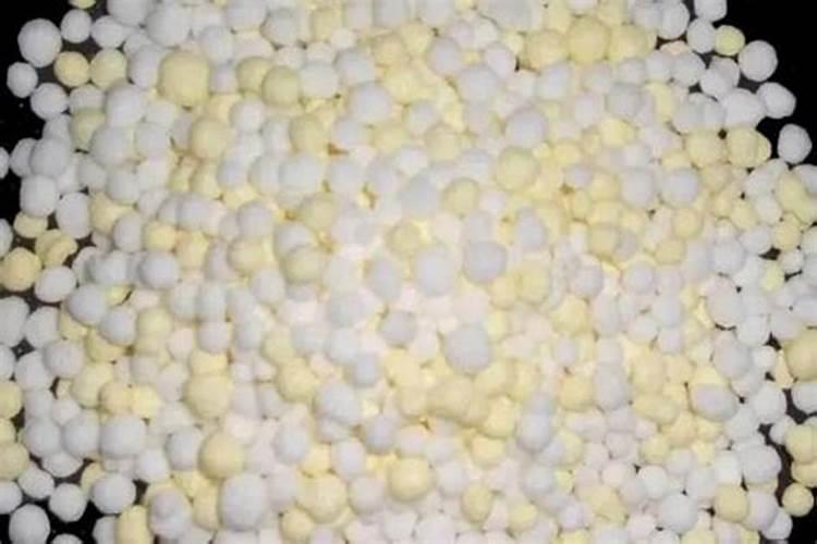 黄豆水发酵变臭怎么浇花怎样用黄豆做花肥不臭