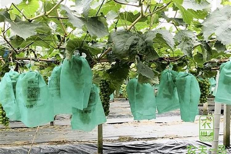 康朴中国益康姆三个15复合肥质量怎么样