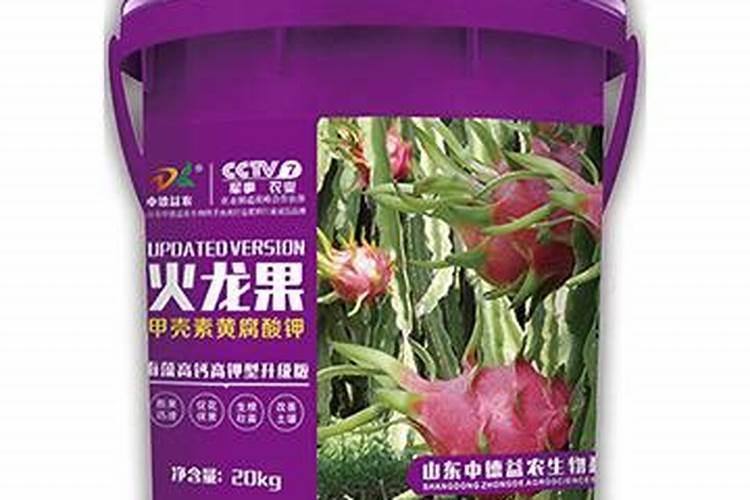 怎样促使火龙果的茎干变粗？