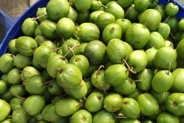 山楂成熟前期用什么肥料