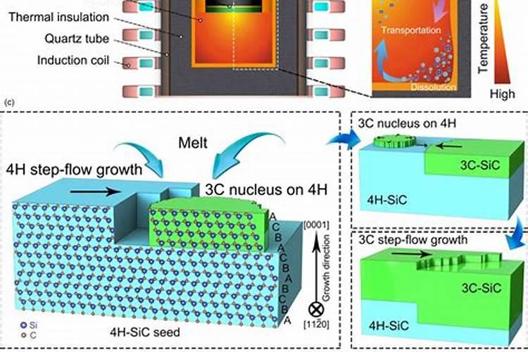 用什么叶面肥叶子长得肥壮