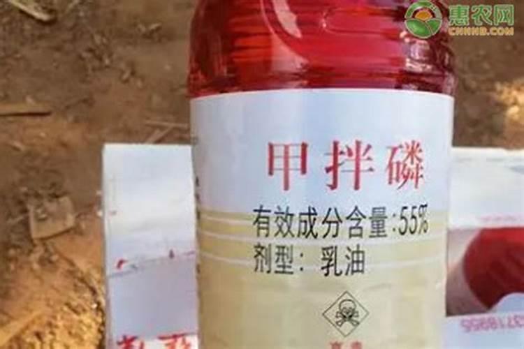 很多人都喜欢吃芋头,芋头种植该怎么管理你知道吗？