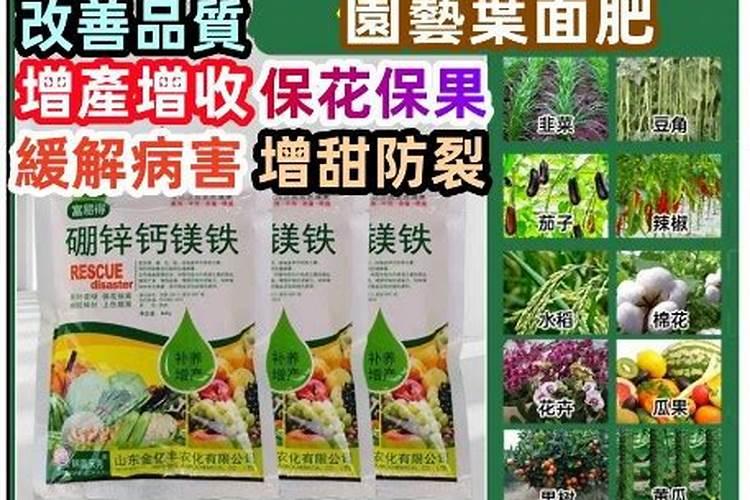 草木灰养花的正确使用方法