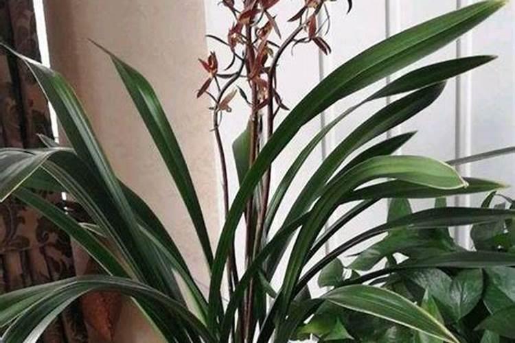 把厨余垃圾处理成肥料的方法是什么