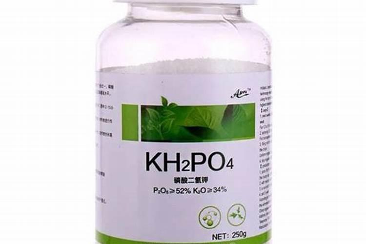 秋肥到底该如何选？高氮、平衡、高钾各有什么差别？