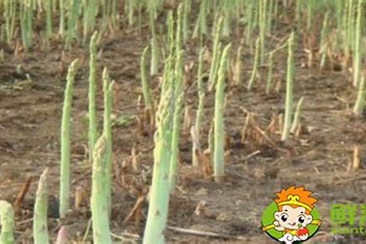 济南福运昌农副产品有限公司怎么样？