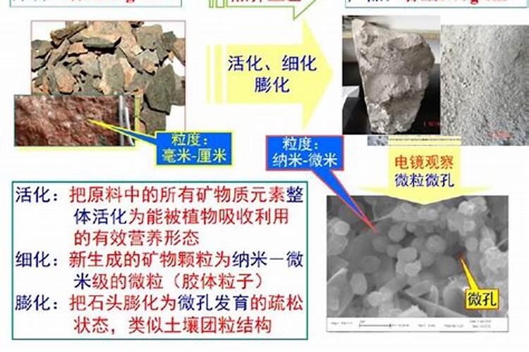 美乐棵的土壤活化剂与土壤调理激活剂哪个更好用