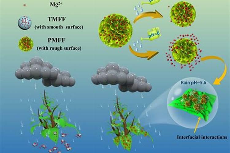 苹果树如何冲施复硝酚硅