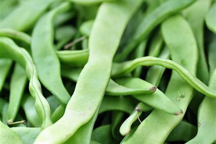 大棚芸豆用什么肥料好
