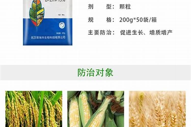 锌肥对果树有什么影响