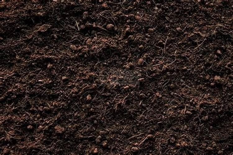 施美特液体氮肥玉米如何使用