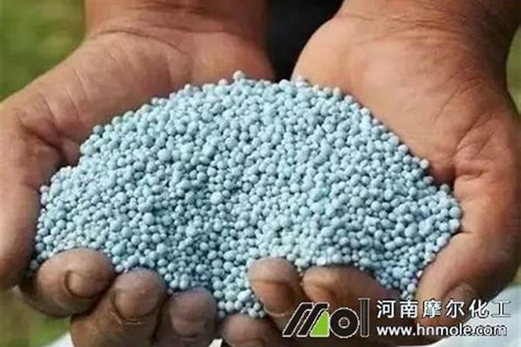 沙漠玫瑰怎么浇水,浇水多了怎么办