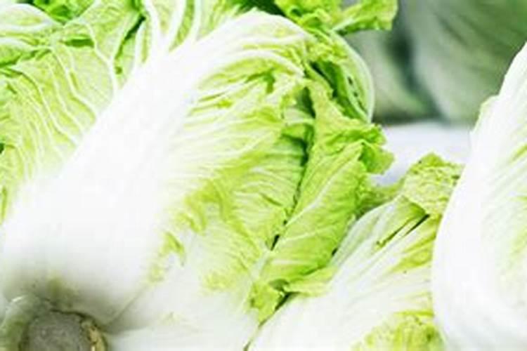 什么是大量元素、中量元素、微量元素肥