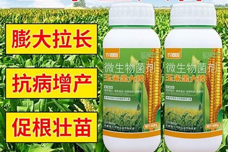 山东潍坊十大名牌叶面肥