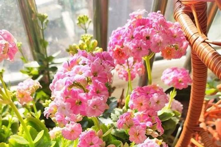 中国生产钾肥的上市公司都有哪些？