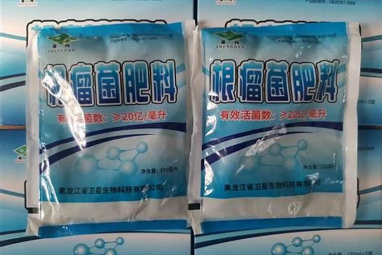 种豆可以肥田的原因