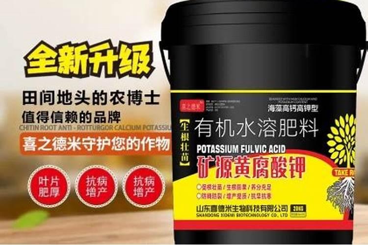 辣椒开花了要怎样浇水施肥