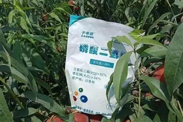 在家里养束花吧!赏心悦目又有益健康