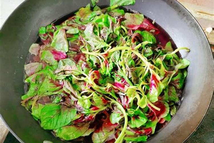 苋菜施肥用复合肥还是尿素好？