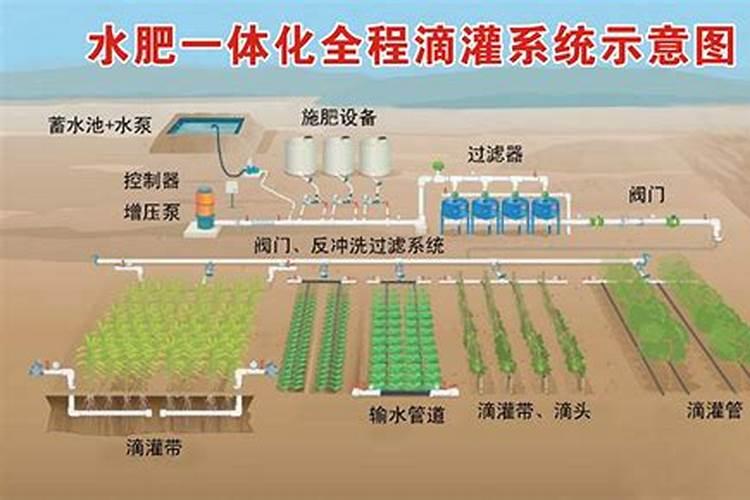 番茄高产栽培技术 番茄水肥怎么管理