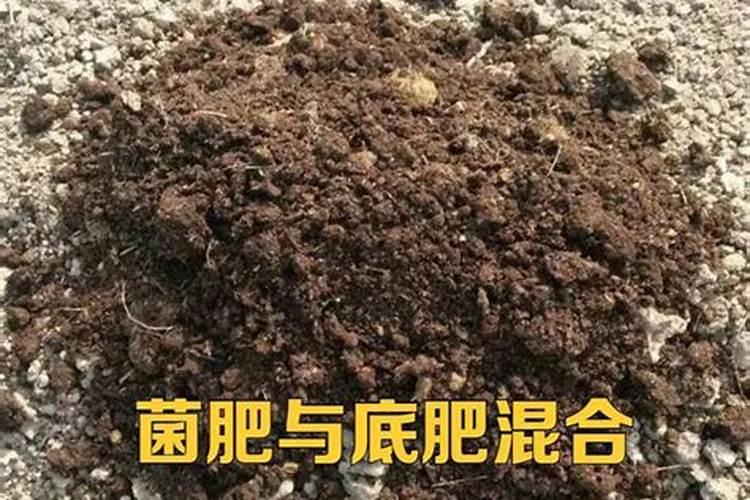 哈茨木霉菌防烂根吗