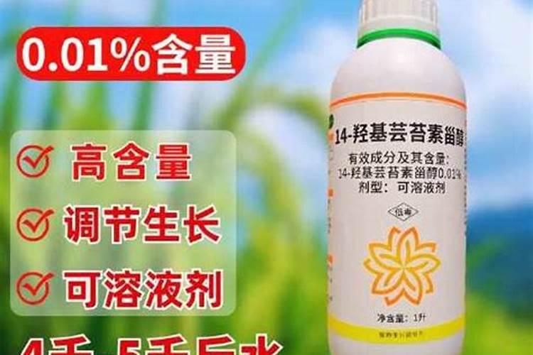 桔子树保花保果用什么药