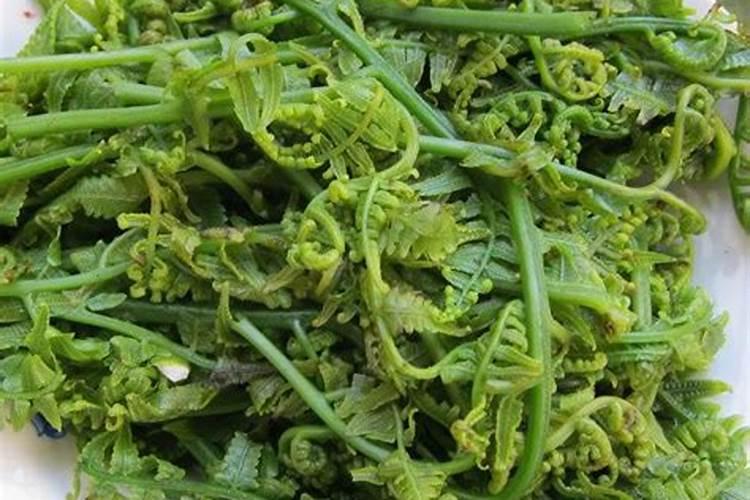 黄瓜几天冲施一次肥？用什么黄瓜水溶肥好