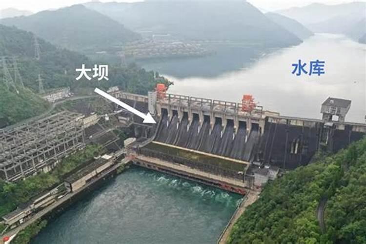 小型水库如何进行施肥养鱼