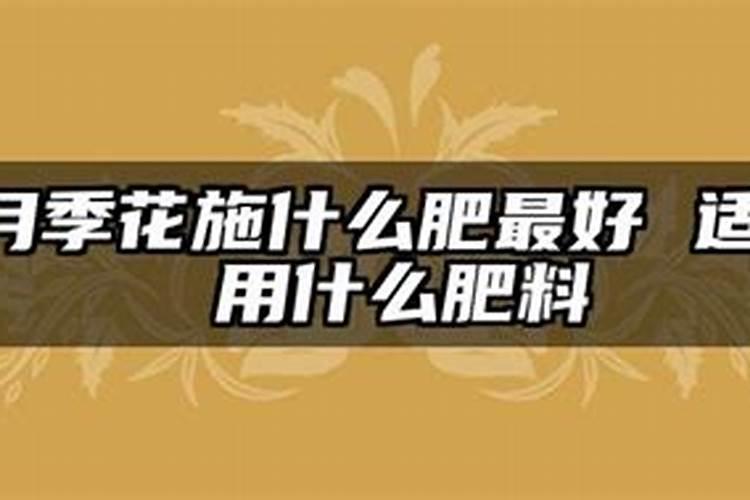 盆栽月季花如何施肥