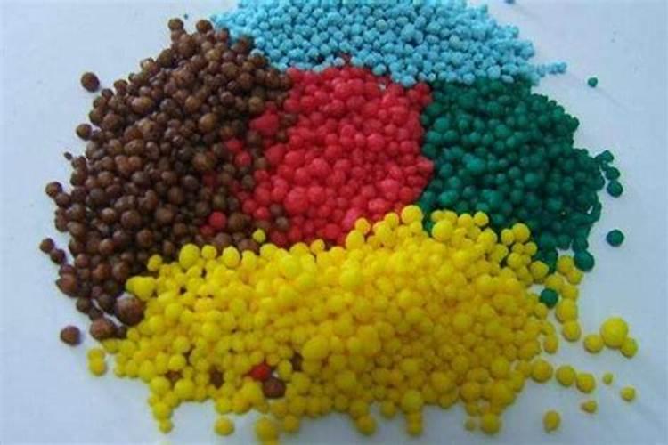观叶植物用什么叶面肥,怎么施肥