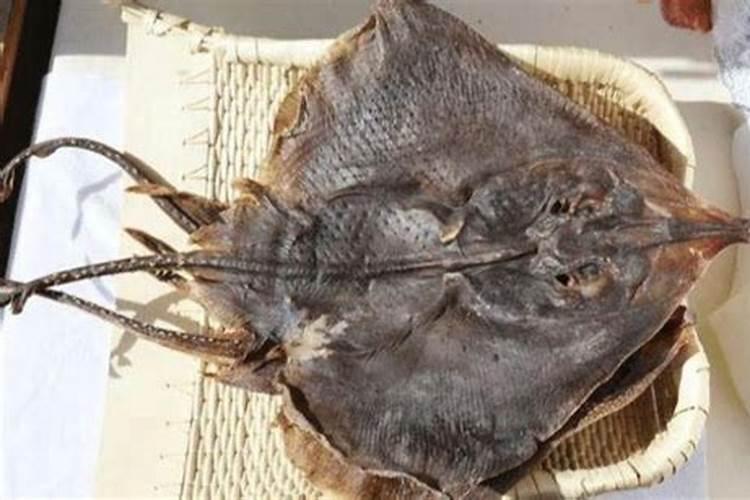 100斤鱼能发酵成几斤鱼蛋白